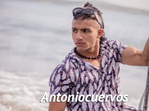 Antoniocuervos