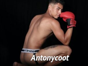 Antonycoot
