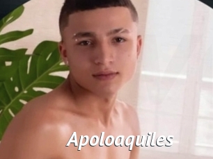 Apoloaquiles