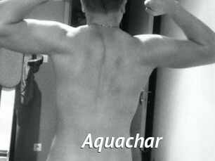 Aquachar