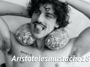 Aristotelesmustache18