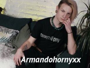 Armandohornyxx