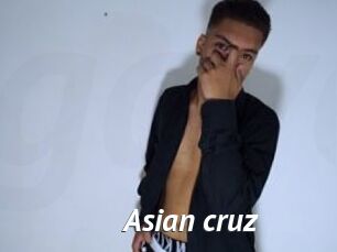Asian_cruz