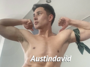 austindavid Gay Vod