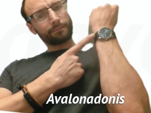 Avalonadonis