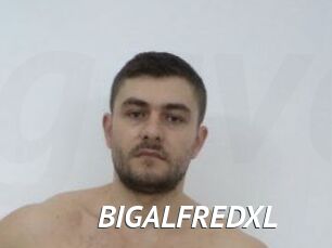 BIGALFREDXL