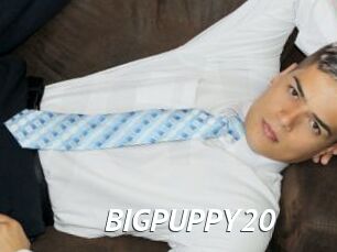 BIGPUPPY20