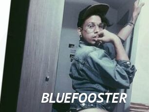 BLUEFOOSTER