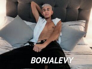 BORJALEVY