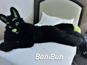 BaniBun