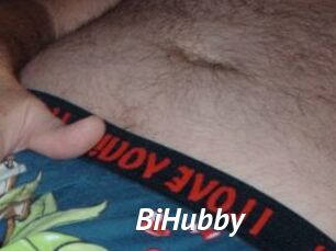 BiHubby