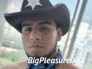 BigPleasure_x Gay Vod
