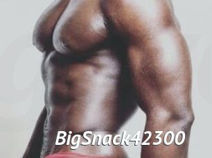 BigSnack42300
