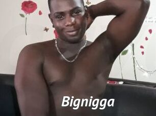 Bignigga