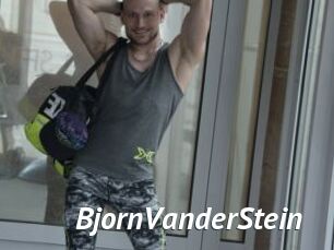 BjornVanderStein