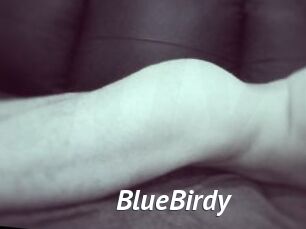 BlueBirdy