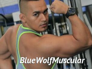 BlueWolfMuscular