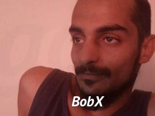 BobX