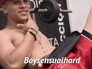 Boysensualhard