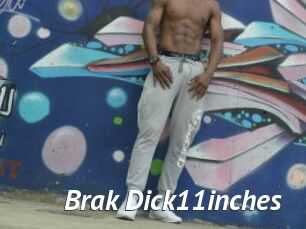 Brak_Dick11inches