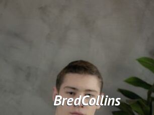 BredCollins