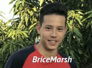 BriceMarsh