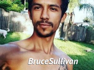 Bruce_Sullivan Gay Vod