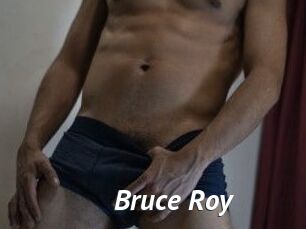 Bruce_Roy
