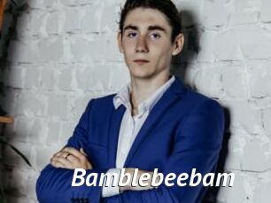 bamblebeebam Gay Vod