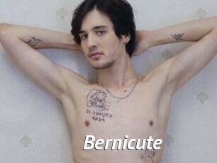 Bernicute