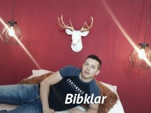 Bibklar