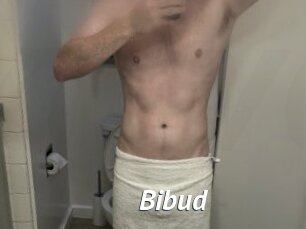Bibud