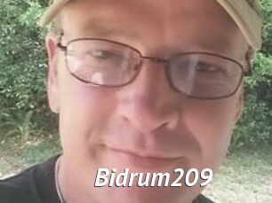 Bidrum209