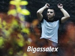 Bigassalex