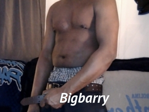 Bigbarry
