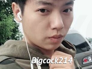 Bigcock214