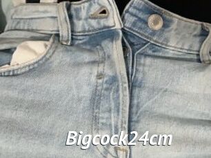 Bigcock24cm