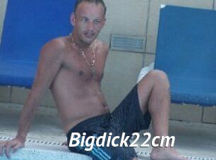 Bigdick22cm