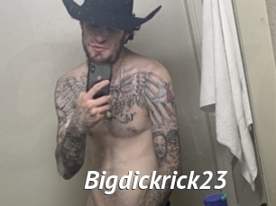 Bigdickrick23