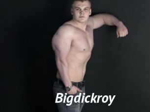 Bigdickroy