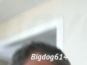 Bigdog614