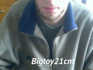 Bigtoy21cm