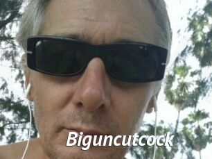 Biguncutcock