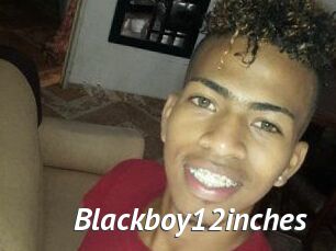 Blackboy12inches