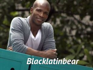 Blacklatinbear