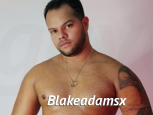 blakeadamsx Gay Vod