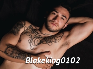 Blakeking0102