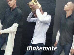 blakemate Gay Vod