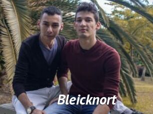 Bleicknort