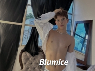 Blumice